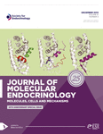 Current Issue