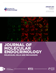 Current Issue