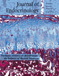 Current Issue