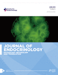 Current Issue