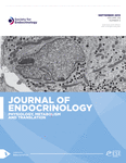 Current Issue