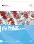 Current Issue