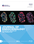 Current Issue