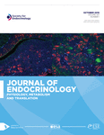Current Issue