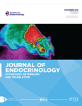 Current Issue