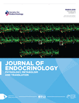 Current Issue