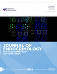 Current Issue