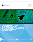 Current Issue