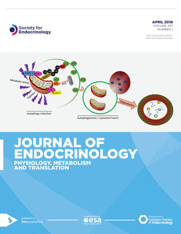 Current Issue Cover